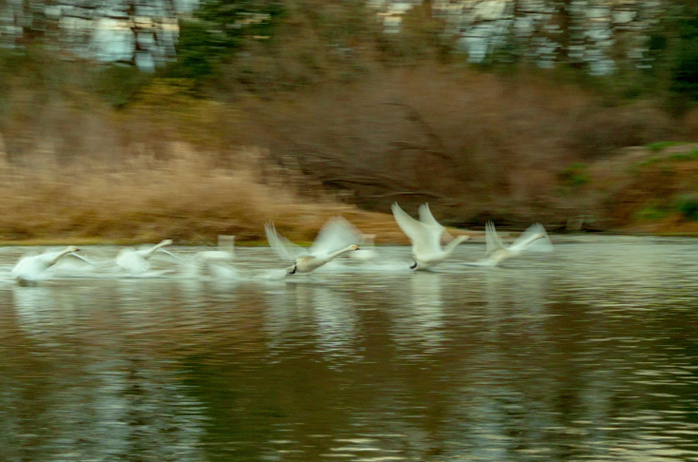 きしめん本舗賞
